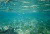 Kefalonia_12