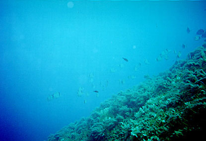 Zakynthos_13