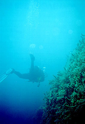 Zakynthos_16