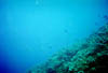 Zakynthos_13