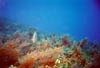 Zakynthos_15