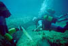 Zakynthos_29