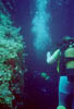Zakynthos_30