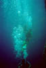 Zakynthos_33