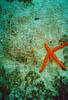 Zakynthos_41