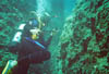 Zakynthos_43
