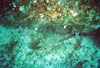 Zakynthos_46