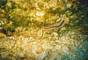 Zakynthos_47