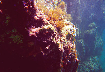 Zakynthos_03