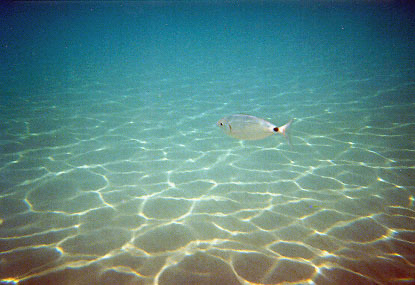 Zakynthos_06
