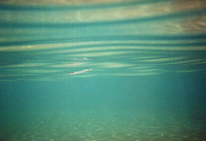 Zakynthos_07