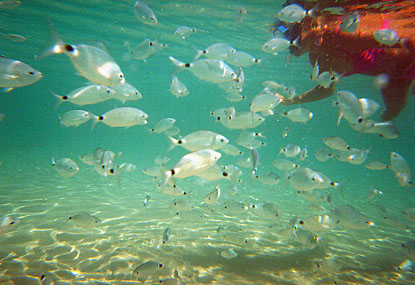 Zakynthos_09