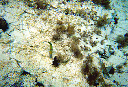 Zakynthos_12