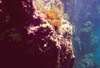 Zakynthos_03