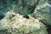 Zakynthos_05