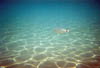 Zakynthos_06
