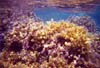 Zakynthos_08