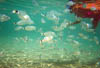 Zakynthos_09