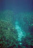 Zakynthos_11